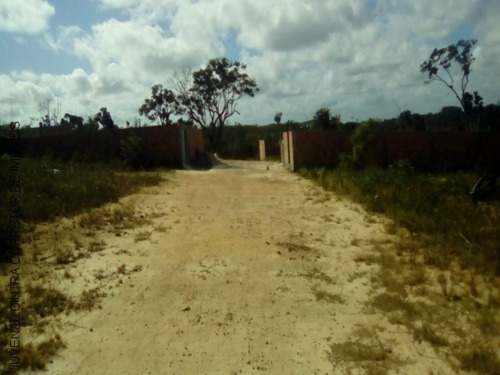 Imagem 4 de 29 de Vendo Terreno Em Arembepe 250m², R$ 40.000,00, Financiamento Próprio. - J039 - 2794092