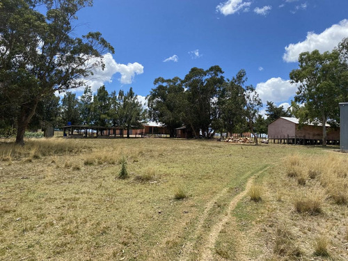 Imagen 14 de 14 de Chacra A La Venta Sobre Ruta Interbalnearia Excelente Ubicación 36há O Fracción