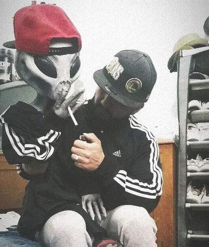 Muñeco Alien Roswell-man Un Metro - Ovni Memes Área 51 Gris (Usado)