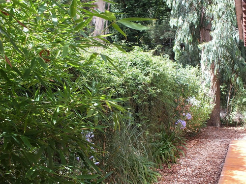 Imagen 12 de 14 de Alquiler Cabaña Bosque Peralta Ramos, Mar Del Plata