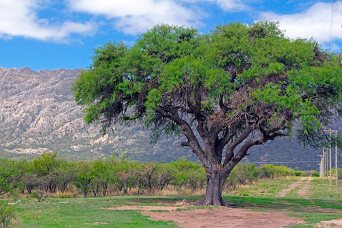 Espectacular Terrenos En Venta En Zorzales Del Dique, Cortaderas Cerca De Merlo San Luis
