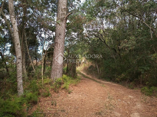Imagem 5 de 11 de Terreno - Centro - Ref: 233072 - V-233072
