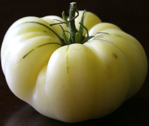 150 Semillas De Tomate Blanco
