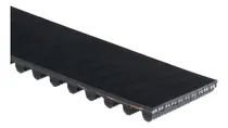 Comprar Correa Distribución P\u002F Mazda 626 929 B-series F2 F21 F2r4