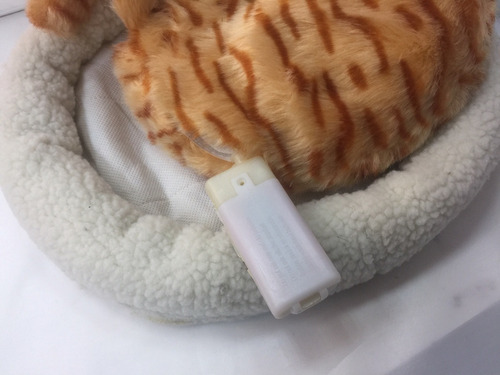 Gatito Peluche Ronca Y Mueve Pansita A Pilas Con Cama Suave