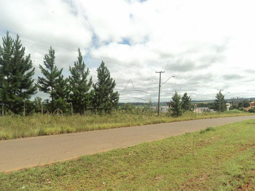 Imagem 5 de 10 de Terrenos - Ref: L1068