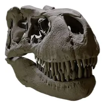 Comprar Espectacular Cráneo Realista De T-rex Para Tu Colección