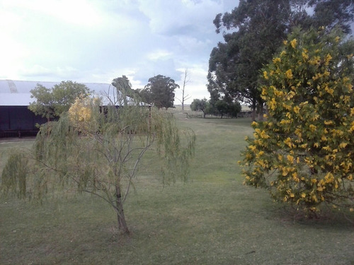 Imagen 5 de 30 de Campo Mixto En San Cayetano