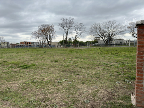Lote Perimetral #200-300 - Pilar Del Este - Santa Lucia - 567m2 #id 17877