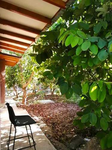 Vendo Parcela Valle Del Elqui/casa Y Cabaña (84522)