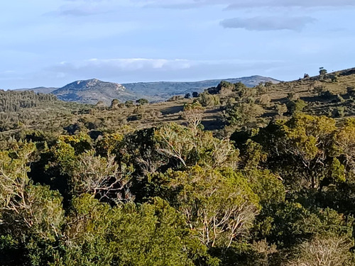 Chacra En Las Sierras Ruta 12 Próximo Pueblo Eden, Maldonado
