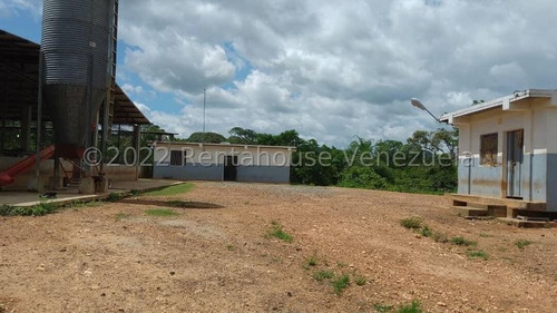 Imagen 2 de 30 de Finca Productora (ganado Levante) En San Carlos 23-416 //invierta Seguro Con Rentahouse//