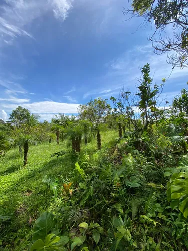 Lotes En Cachipay