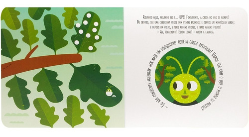 Livro Montesorri O Nascimento De Uma Borboleta Todolivro