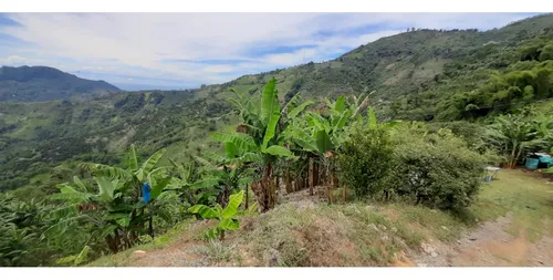 Venta Finca - Vereda Coco Hondo - Balboa