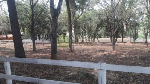 Imagem 18 de 30 de Espetacular Haras Em Bauru Ótimo $$$ Aceita Permuta - Ch00153
