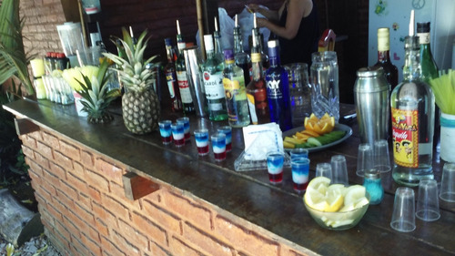 Imagen 5 de 5 de Barra Libre De Tragos Para Eventos Barra Movil Bartender