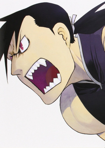 Imagen 2 de 9 de Fullmetal Alchemist Kanzenban #14