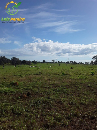Imagem 12 de 15 de Fazenda Á Venda Em Dois Irmãos - To - 760 Hectares (dupla Aptidão) - 2086