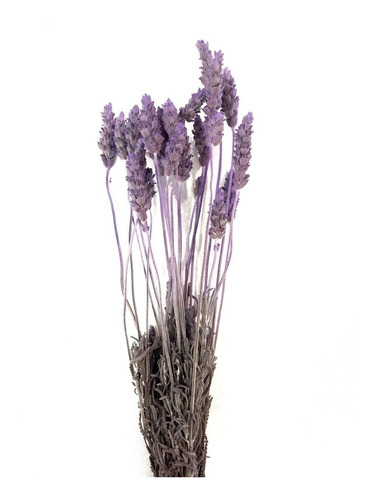 Flores Desidratadas - 2 Buquêzinhos De Lavanda Natural | MercadoLivre