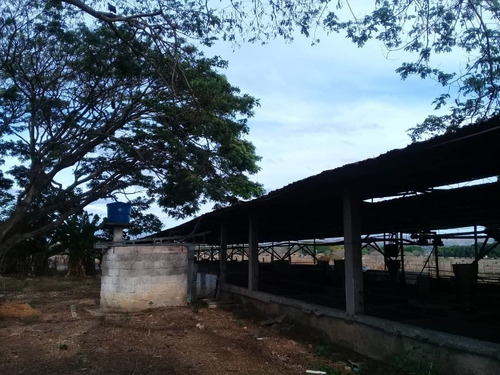 Imagen 2 de 14 de Finca En Tinaquillo . Edo Cojedes Glira