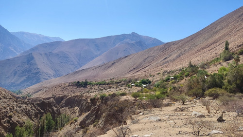 Imagen 6 de 6 de Terreno En La Isla, Pisco Elqui