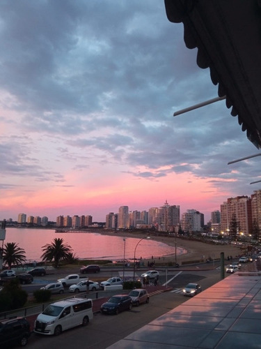 Imagen 13 de 14 de Excelente Vista A Playa Mansa, Baupres Y Las Focas Peninsula - Disponible A Partir Del 1 De Marzo De 2023