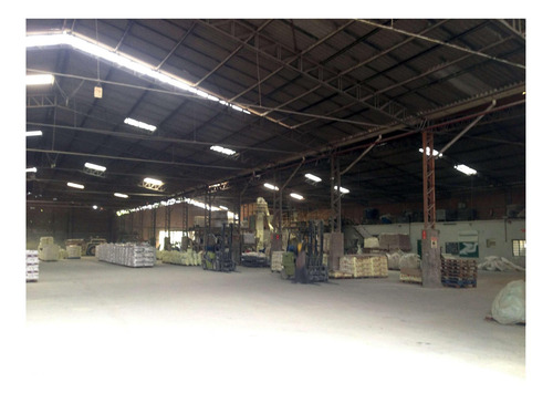 Imagem 4 de 24 de Galpão Industrial 24200 M² Área Total 5000 M² Área Construída- Campinas - Ga0119 - 34317312