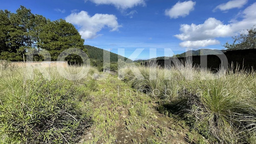 Imagen 6 de 27 de Terreno En Venta Salazar, Estado De México