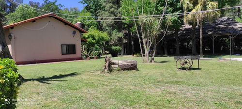 Imagen 7 de 14 de Alquiler Quinta Para Eventos Fiestas Cumpleaños Despedidas