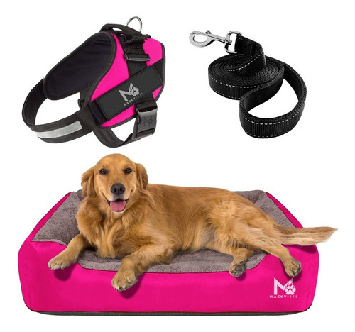 Super Combo / Cama Para Perros 2xl + Pechera Xl + Paseador