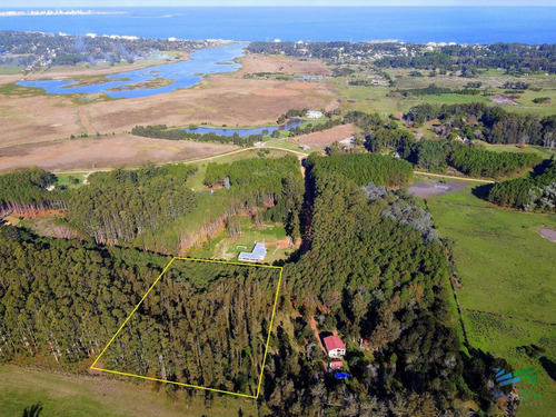Imagen 9 de 11 de Vendo Terreno De 1 Hectárea Tipo Chacra En Laguna Del Diario, Punta Del Este