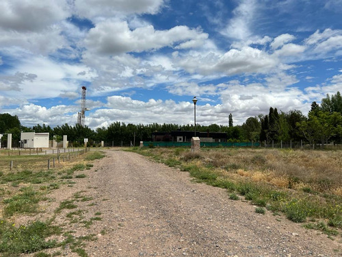 Imagen 6 de 11 de Venta Terreno 600 Mts Las Catalpas