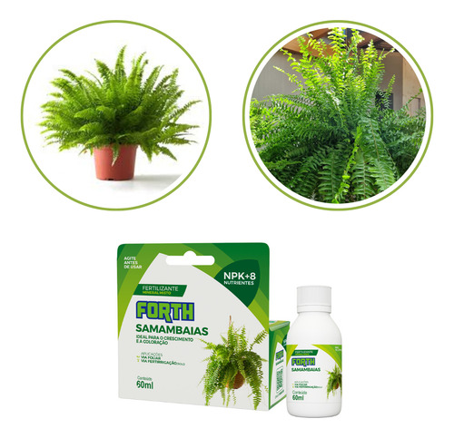 Fertilizante Líquido Forth Samambaias Concentrado 60ml