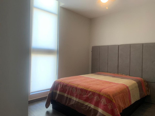 Departamento En Renta En Semillero Matamoros En Monterrey