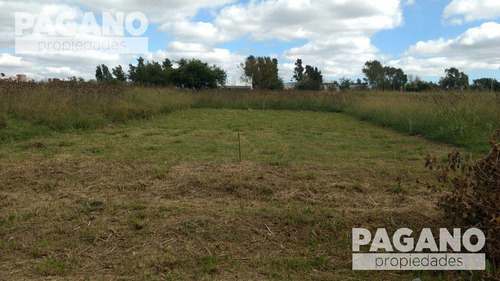 Imagen 3 de 7 de Terreno - La Plata