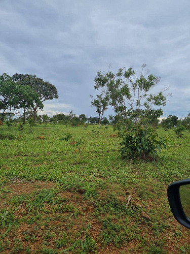 Imagem 3 de 5 de Fazenda À Venda, 3630000 M² Por R$ 9.000.000,00 - Zona Rural - Alexânia/go - Fa0026