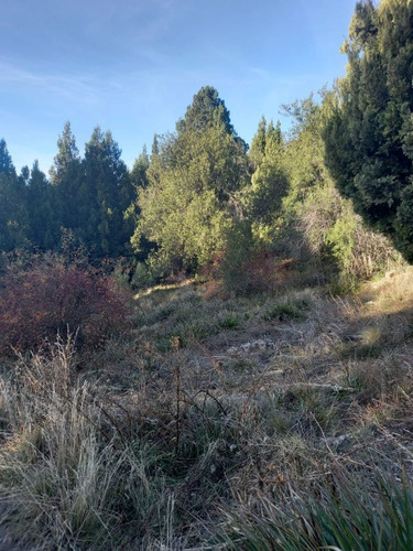 Imagen 7 de 9 de Fida Patagonia. Lote En Venta De 1326m2 Ubicado En San Martín De Los Andes