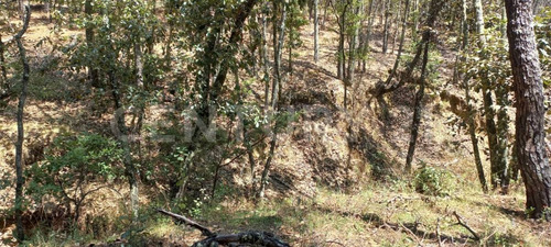 Vendo Terreno De 6,634 Metros En Fracc. Bosque Real, Huasca De Ocampo Hidalgo.