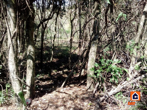 Imagem 6 de 7 de Terreno À Venda Em Siqueira Campos - Pr - 1784