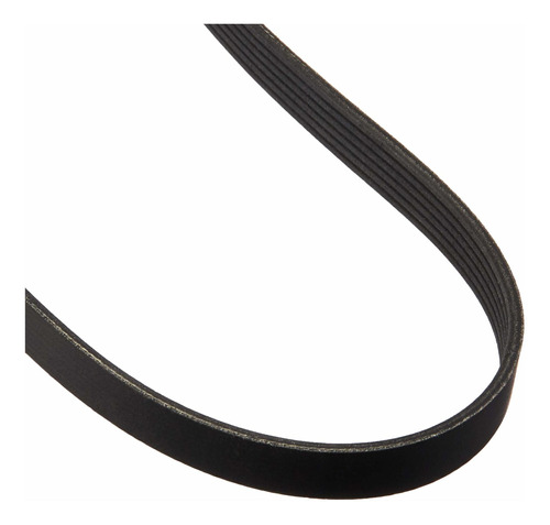 Dayco E060393 belt (poly Costilla Serpentina Ela)