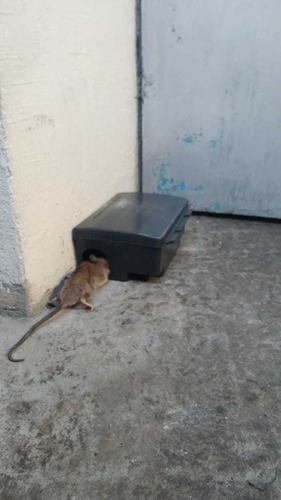 Imagen 8 de 10 de 3.50 Cajas Trampas Cebadera Ratones Ratas Fumigacion Plagas