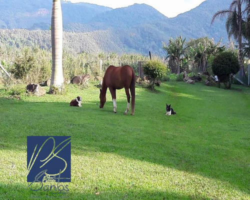 Imagem 24 de 30 de Sitio Para Venda Joanópolis Sítio Com Total Privacidade Com Linda Vista Com 38.000m² Apenas À 10 Minutos Do Centro De Joanópolis - Casa Sede; - Casa De Hospedes; - Piscina; - Bosqu - St00012 - 320070