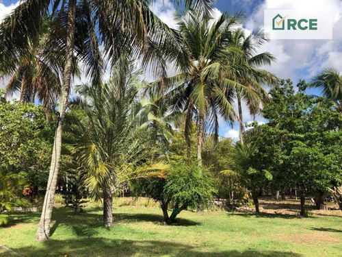 Chácara Com 7 Dormitórios À Venda, 7500 M² Por R$ 599.000,00 - Ferreiro Torto - Macaíba/rn - Ch0004