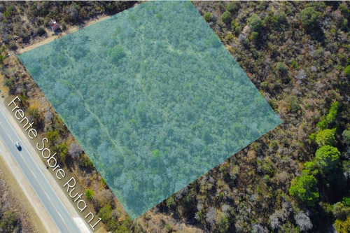 Imagen 19 de 24 de 5 Hectáreas 6 Lotes De 1000m2 Sobre Ruta Nº 1 - Cortadera