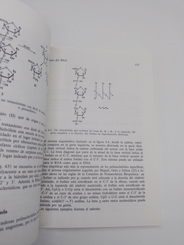 Libro Bioquímica De Los Ácidos Nucleicos De Davidson (Usado)