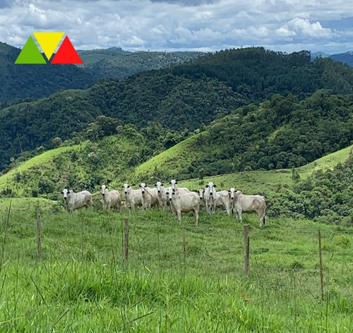 Imagem 8 de 26 de Fazenda - Fa00044 - 70220488