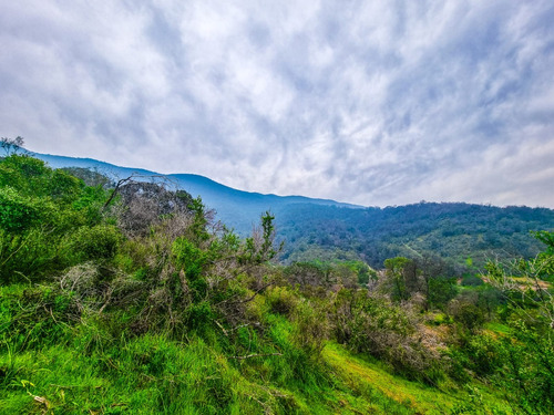 Parcelas De 5000m2 En El Monte Rm, Luz Y Agua, Bosque Nativo