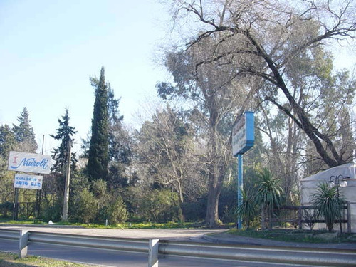 Imagen 5 de 7 de Buena Fracción Muy Bien Ubicada, 1728 M2 En Ituzaingo Norte.
