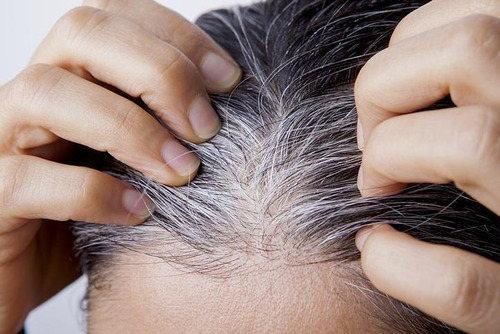 Shampoo De Órgano Y Nogal Cabello Teñido Matiza Oscuro